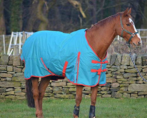 Turners Couverture imperméable légère pour cheval et poney Shetland 100 g