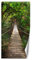 Feeby Türtapete Fototapete Exotisch Tropen Dschungel 100x200 cm Türposter Türpanel Vlies Tapete Wohnzimmer Schlafzimmer Kinderzimmer Büro Hängebrücke Fluss Grün
