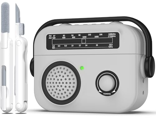 R-fun Kompatibel mit AirPods Pro 2 Hülle, Silikon Stoßfeste Schutzhülle Kompatibel mit AirPods Pro 2/1 Generation, Vintage-Radio Design Schutzhülle mit Karabiner, Front LED Sichtbar (Grau)