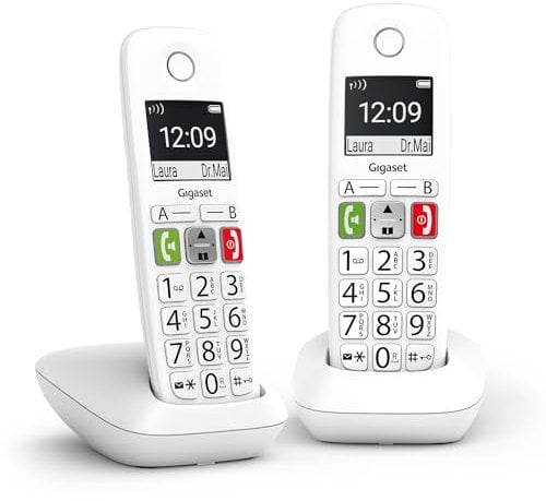 Gigaset E290 DUO [Französische Version]