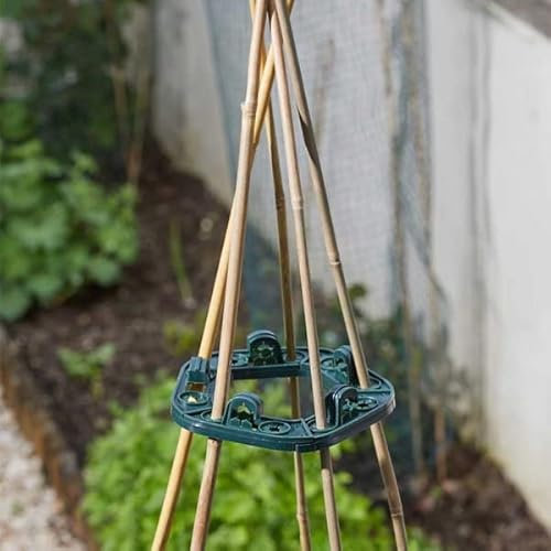 Garden Mile Wigwam Lot de 5 anneaux de support pour cannes de jardin en bambou pour plantes grimpantes et tomates