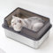 Kleine Katzentoilette aus Edelstahl, 50x35x20 Metalltoilette mit Spritzwassergeschütztem Deckel und Schaufel für Alle Katzen, Leicht zu Reinigen, (Schwarz)