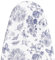 MinoCino Ironing Board Cover 115x35cm, Thick Iron Board Cover with 6 mm Felt Padding, Adjustable Drawstring, Hook and Loop Fasteners, Floral and Butterflies Printed