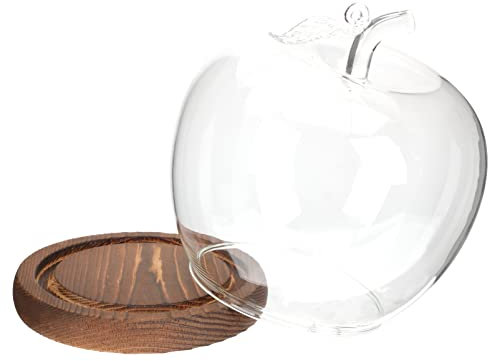 Housoutil Klarglas-Cloche- -Display-Kuppel mit Holzsockel Glas-Blumen-Display-Cloche-Glockenglas-Kuppel-Deko-Vitrine-Display für Antike Sammlerstücke Glasglocke Terrarium