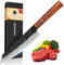 BILLION DUO Damacus Kiritsuke Chef Knife, Professional Kitchen Knife, Damacus Steel Blade 21 cm, Rosewood Handle, for Meat, Fruits, Vegetables, Gift Box
