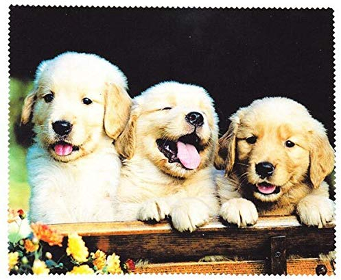 Motiv Microfasertuch mit Tiermotiven 3 Hunde - Brillenputztuch - 15x18cm