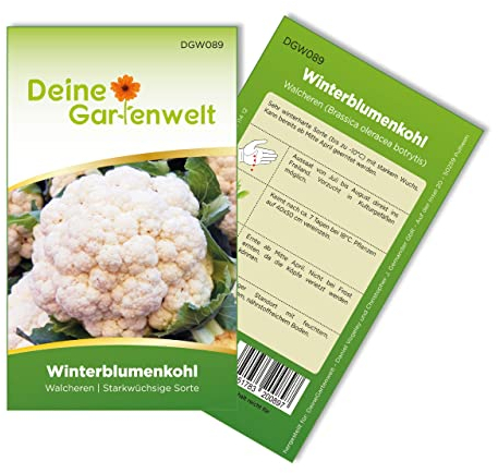 Winterblumenkohl Walcheren Samen - Brassica oleracea botrytis - Winterblumenkohlsamen - Gemüsesamen - Saatgut für 80 Pflanzen