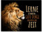 wandmotiv24 Leinwandbild Löwen, Querformat, Löwe, lerne zu warten M0196