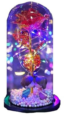 Ewige Rose,Eternal Rose Valentinstag Kreative Geschenk-Box Künstliche Blume Rose Glas Abdeckung Valentinstag Geschenk Goldene Rose Ewige Liebe(Red)