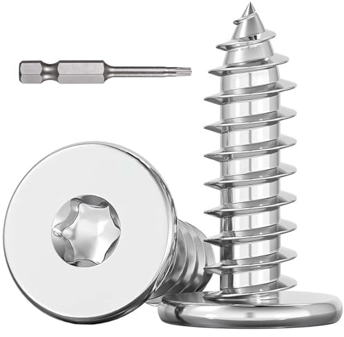 Dayalo Torx Lot de 100 vis à bois à tête plate en acier inoxydable A2 V2A - Vis autotaraudeuses - Filetage complet - Avec embout de tournevis - Pour raccords en bois - M3 x 16 mm