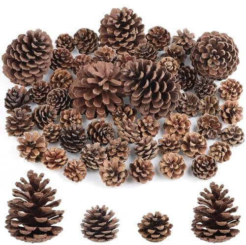 Wlicon 55 Stück natürlichen Tannenzapfen Weihnachts-Tannenzapfen Ornamente Große mittlere und kleine Größe für Thanksgiving Herbst und Weihnachten DIY-Dekorationen