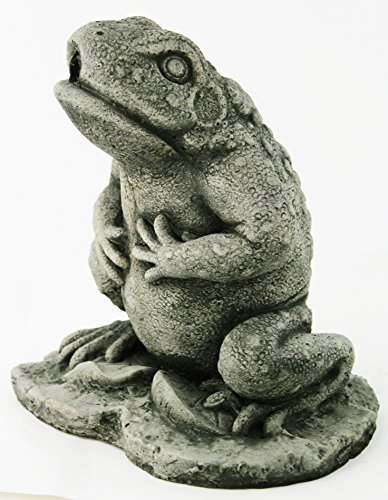 Fleur de Lis Garden Ornaments LLC Forest Frog with Pipe Concrete Statue