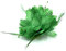 Flower Feather Fascinator Beaded Beak Hair Clip Brooch Bobble Ladies Day Ascot Races (Green)
