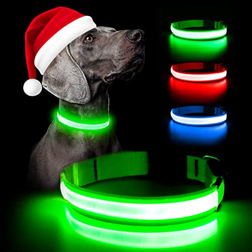 Weesiber Leuchthalsband Hund, Hundehalsband Leuchtend Aufladbar, LED Hundehalsband Wasserdichtes reflektierende LED Halsband Hundelichter für nächtliche Spaziergänge (X-Large,Grün)
