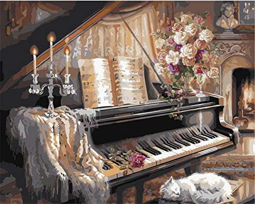 ABEUTY Peinture Numero Piano Instrument de musique, Peinture par Numero 40x50 cm Peinture Numéro Bricolage