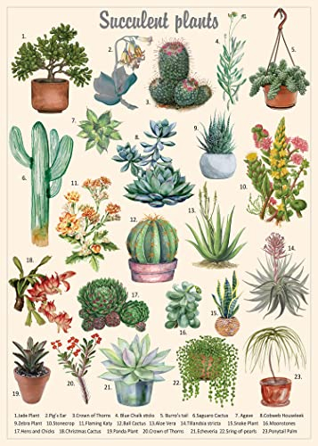 Vintage Succulent Puzzles for Adults 1000 Pieces, House Plants Puzzle Nature Featuring 23 Succulent Plants, Cactus Jigsaw Puzzle Botanical