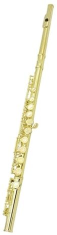 flöte 16 Geschlossene, Offene Löcher, C-Tonart, Professionelles Langes Querflöten-Musikinstrument Mit Tonart Für Anfänger (Color : Gold)