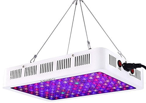 Niello Optical Lens-Series LED Pflanzenlampe 600W led grow light 12-Bands Full Spectrum Wachsen Licht led Wachstumslampe Pflanzenlicht für Zimmerpflanzen Gemüse und Blumen