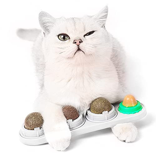 Fortune-star Wandbälle mit Katzenminze, Katzenspielzeug, essbar, Leckbälle, Snack, natürlich, gesund, drehbar, für Kätzchen, Spielen, Kauen und Putzen