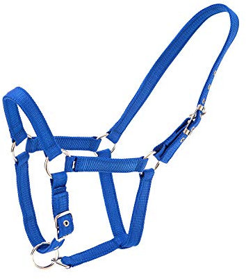 Merauno® Halterset Trendy Nylon Pferd Halfter Silber Verstellbare Schnalle im Nacken und in der Nase Hochwertiges Polyesterband für Pony Vollblut Warmblut (Voll, Blau)
