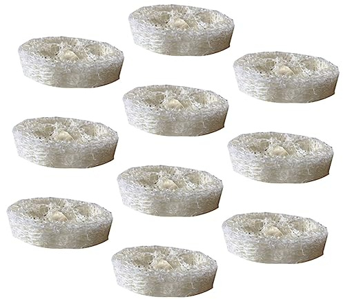 GLEAVI 10pcs Loofah Sponge Natural Dish Washing Sponges Beige Household Kitchen Comfortable to Use Odour Resistant for Home Kitchen Cleaning