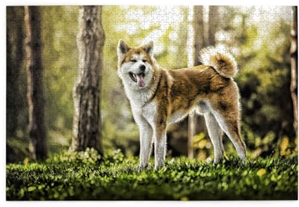 Akita Inu im Wald Haustiere Hunde HDR Sommer Akita, Puzzles 1000 Teile Holzpuzzle Spielzeug Familienspiel Wanddekoration