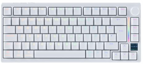 GK GAMAKAY TK75 TMR Rapid Trigger Gaming Tastatur QWERTZ (ISO-DE Layout) | TFT Bildschirm, 8K Polling Rate, BT/2.4GHz/USB-C 0,01mm RT Hall Effekt kabellose Tastatur, Weiß, Magnetic Mercury Switch V3