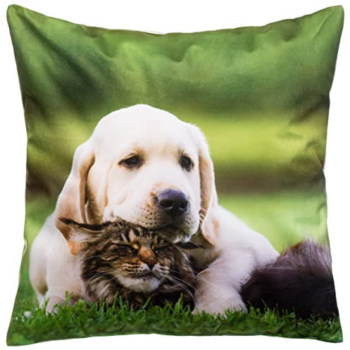 Brandsseller Dekokissen Zierkissen mit Tiermotiv - 40 x 40 cm - Golden Retriever Welpe und Katze