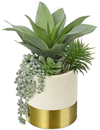 Hollyone Piante grasse artificiali da 30,5 cm, maguey finto con piante grasse in vaso di ceramica dorata, pianta finta decorativa in vaso per interni, decorazione per casa, soggiorno, scaffale,