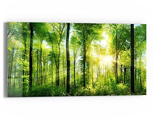 DEQORI Glasbild Echtglas | Motiv Sonne durchbricht Wald | horizontal einteilig 60x30 cm | schöne Dekoration | Wandbild für Wohnzimmer, Schlafzimmer, Flur & Küche | moderne Wanddeko