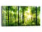 DEQORI Glasbild Echtglas | Motiv Sonne durchbricht Wald | horizontal einteilig 60x30 cm | schöne Dekoration | Wandbild für Wohnzimmer, Schlafzimmer, Flur & Küche | moderne Wanddeko