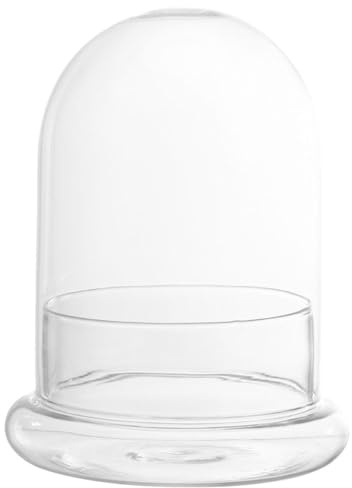 Ciieeo Terrarium Bouteille DIY pour Plantes et Fleurs en Verre Transparent avec Résistance la Sécheresse la Corrosion, Décoration Maison Micro-Paysage