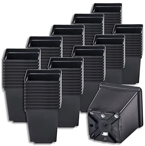 Wohnkult Pflanztopf Blumentopf Blumenkübel schwarz, klein, quadratisch, 3 zur Auswahl (1 l Volumen | 100 Stück)