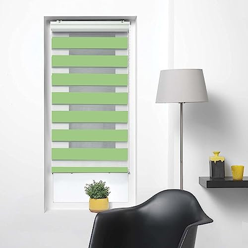 Persiana Avvolgibile 60 x 300 cm Per privacy, protezione da luce e sole Tenda Per Porta E Finestra con catena regolabile Per Ufficio, Bagno, Verde
