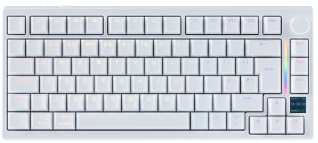 GK GAMAKAY TK75HE V2 Rapid Trigger Wireless Keyboard TFT Screen, Tri-Mode BT/2.4GHz/USB-C, 8KHz Polling Rate 0.005mm RT, Hall Effect Magnetic Switch 75% Gaming Keyboard (White, Magnetic Phoenix)