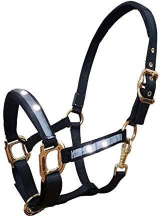 Reinecke Equestrian Premium Leuchthalfter Reflexhalfter Sicherheitshalfter Stallhalfter Weidehalfter LED-Nylonhalfter Starlight (Pony, schwarz/Gold)