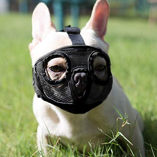 Short Snout Dog Muzzles- Bulldog Muzzle Breathable Mesh Dog Mask for Biting Chewing Training Licking Grooming (Black, Large(38-64cm))