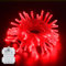 BOLWEO LED Lichterkette Batterie mit Timer, 3m 30LED Rot IP65 Wasserdicht Innen und Außen Lichterketten für Halloween,Valentinstag,Weihnachten,Schlafzimmer,Party,Hochzeit