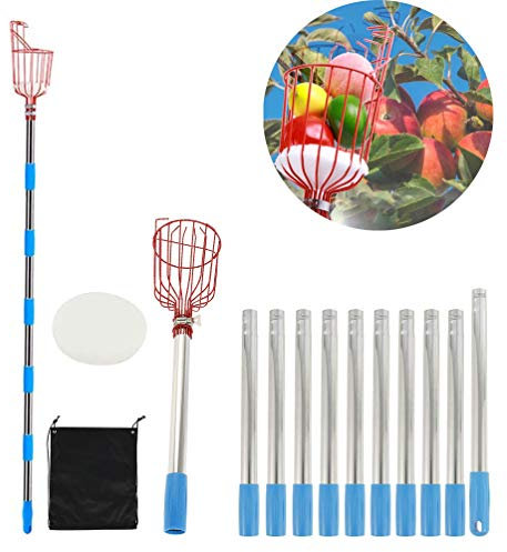 Apple Picker with Telescopic Handle, Fruit Picker with Basket, Telescopic Handle, Apple Picker, Telescopic Rods, Fruit Picking Tool, Metal Picking Head, Fruit Catcher for Cherry Gardens,4m
