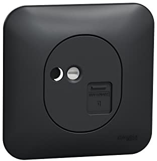 Schneider Electric - Ovalis - Prise RJ45 - cat.6 STP - grade 3 - multimedia Avec plaque -Anthracite - S460476