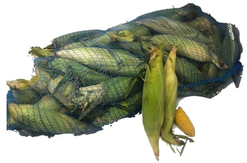 Fresh Corn on the Cob 30 units | Husk On