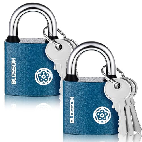 Invalidism 2 Pcs Iron Padlock With 3 Keys, 50 MM Heavy Duty Weatherproof Outdoor Lock for Shed, Warehouse, Fence, Garage, Garden, Gym Locker