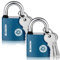 Invalidism 2 Pcs Iron Padlock With 3 Keys, 50 MM Heavy Duty Weatherproof Outdoor Lock for Shed, Warehouse, Fence, Garage, Garden, Gym Locker