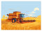 H10545M_TV5BH Papier peint intissé 254 x 184 cm Un bison en pleine récolte tond le grain dans le champ