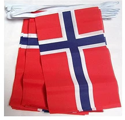 AZ FLAG Guirnalda 4 Metros 20 Banderas de Noruega 15x10cm - Bandera Noruega 10 x 15 cm - BANDERINES