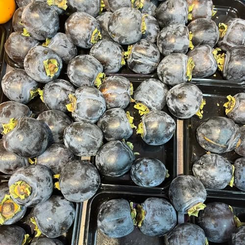 80 pcs Kaki Samen, Kaki Baum Pflanze, extrem winterharte kübelpflanzen, geschenke für gartenfreunde Diospyros kaki, Kakibaum Kaufen, säulenobst, geschenke exotische früchte, hochbeet