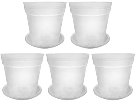 Jubepk Vasi trasparenti per piante grasse, vasi trasparenti per piante grasse, vasi trasparenti per piante grasse, vasi trasparenti per piante grasse, vasi trasparenti per giardinaggio