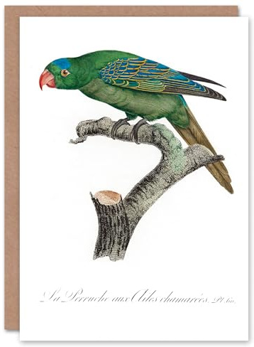 Artery8 Francois Levaillant Art Card The Blue Naped Parrot