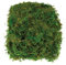 Baker Ross AV898 Moos, getrocknet, 100 g, Grün, NA