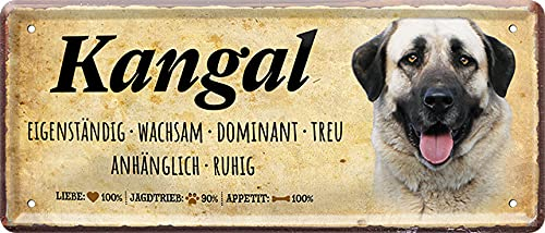 WOGEKA ART Retro Blechschild - Kangal Hunde-Rassen Steckbrief - witziger Spruch als Geschenk-Idee zum Geburtstag Weihnachten zur Dekoration 28x12 cm Vintage-Design aus Metall 316